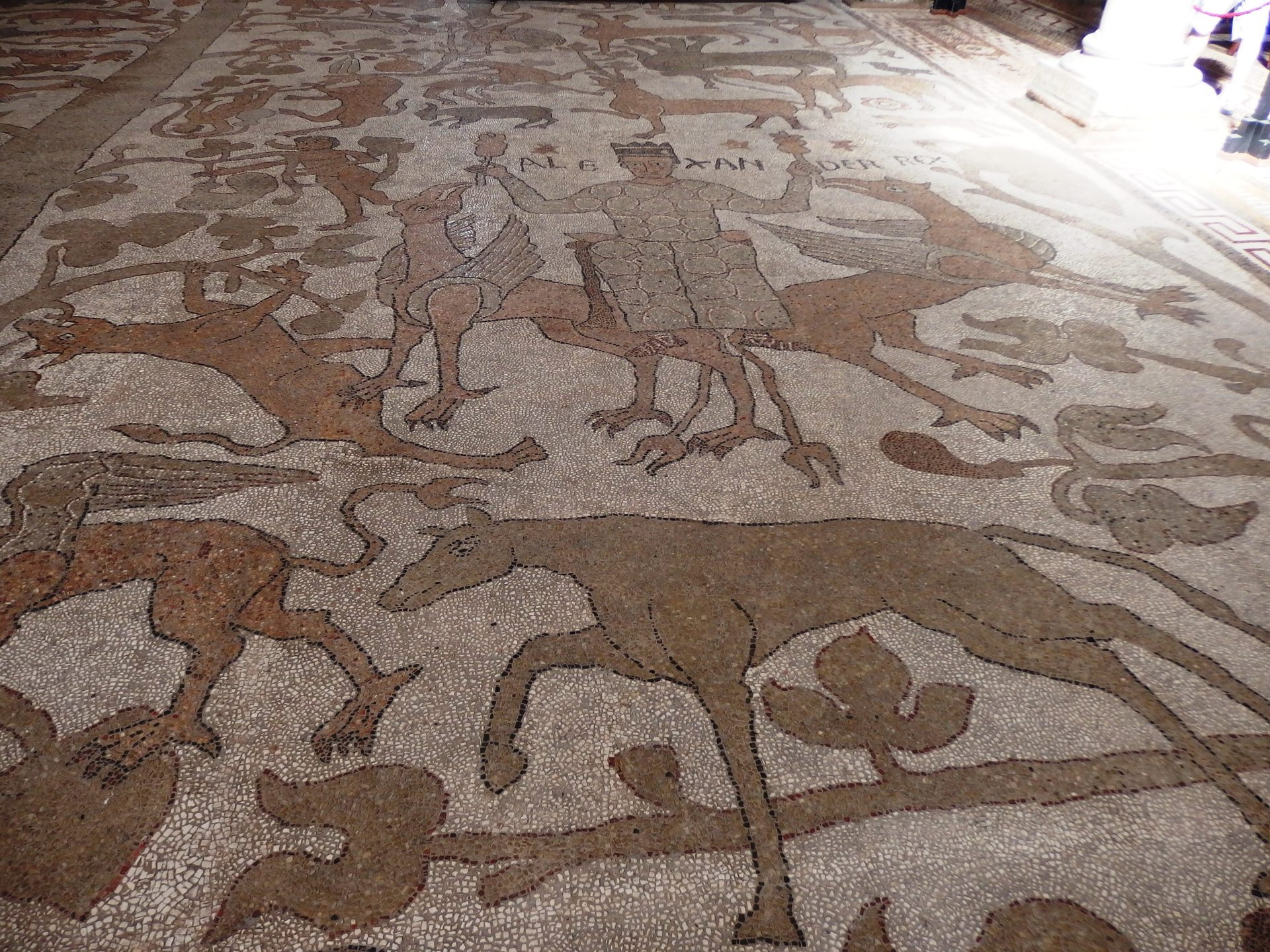 Detail of the 1163-65 Otranto Cathedral mosaic floor, Puglia, Italy, showing Alexander the Great labeled 'ALEXANDER REX' seated between two winged griffins as they lift him skyward, part of the Tree of Life mosaic laid by the priest Pantaleone