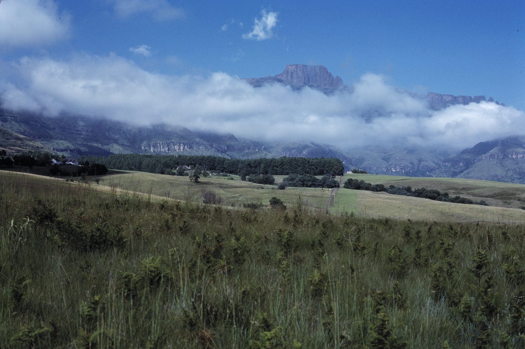 Cathkin Peak, the Drakensberg plateau Elizabeth Klarer named as the site of her claimed 1957/1958 contacts with Akon