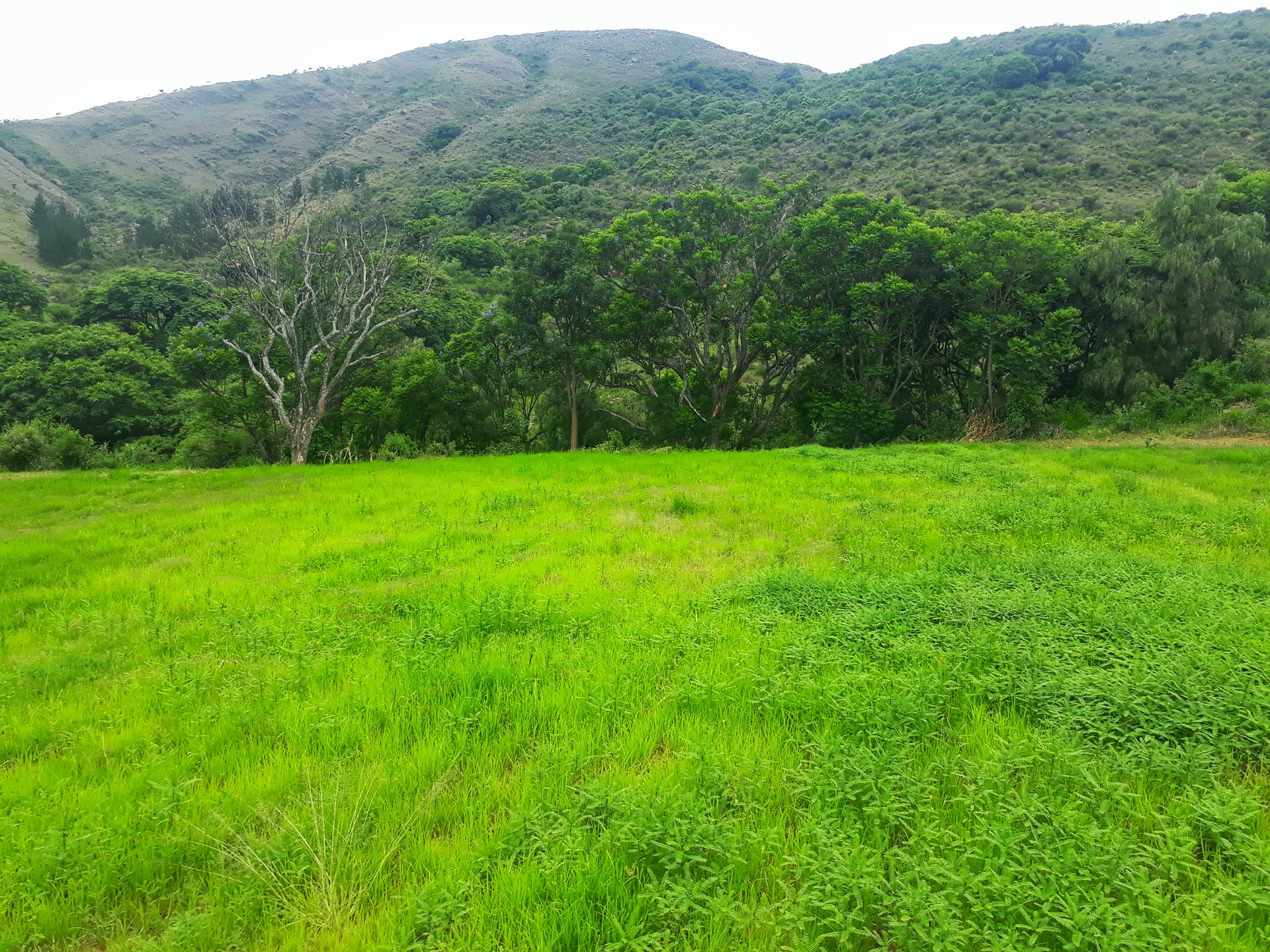 Countryside landscape near Tarija, Bolivia, the department where the May 1978 El Zaire crash reports originated
