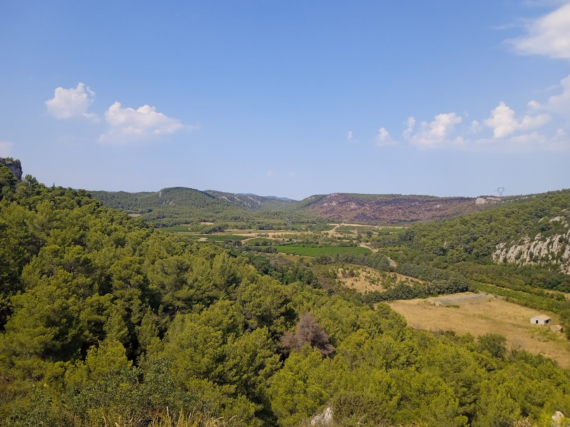 Vineyard landscape near Bize-Minervois, Aude, France, viewed from the Tour de Boussecos