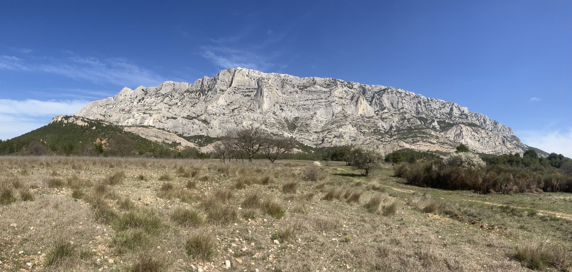 Hillside countryside near Aix-en-Provence, southern France, the region commonly associated with the anonymized Dr. X case