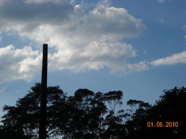 Colombia, January 6, 2010