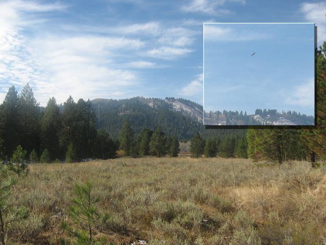 Idaho, November 27, 2010