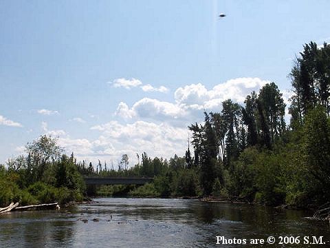 Jackfish Creek, Alberta, July 3, 2006