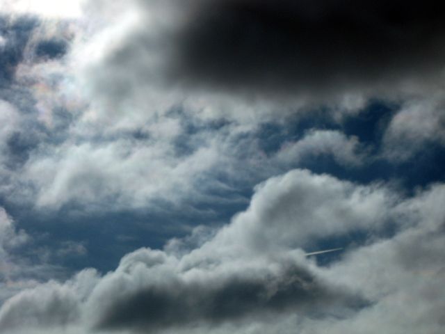 Wisconsin, January 11, 2010
