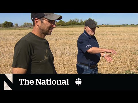New coin reignites interest in 50-year-old Canadian UFO story