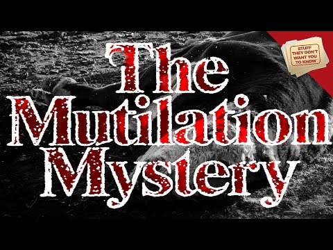 Cattle Mutilation | Stuff They Don't Want You to Know