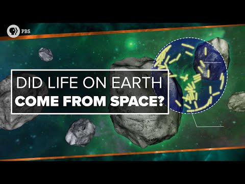 Did Life on Earth Come from Space? — PBS Space Time