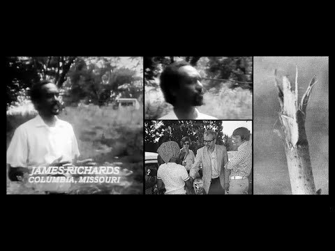 UFO landing witnessed by James G. Richards & daughter on June 28, 1973; investigated by Ted Phillips