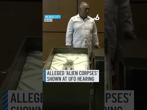 So-called 'alien corpses' shown at Mexico's first UFO hearing - NBC 6 South Florida