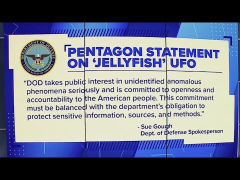 Dept of Defense addresses 'jellyfish' UFO | NewsNation Prime