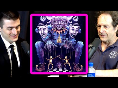 Terence McKenna: DMT reveals the machine elves within